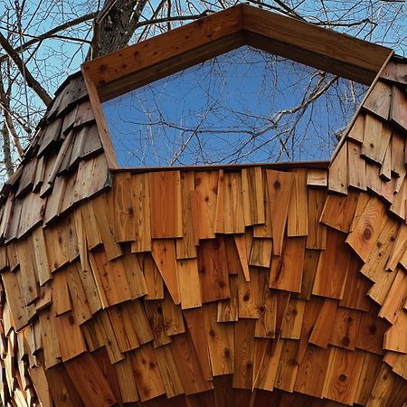 T'Glamp Bee House Otel Rovte Dış mekan fotoğraf